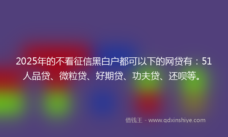 2025年的不看征信黑白户都可以下的网贷有：51人品贷、微粒贷、好期贷、功夫贷、还呗等。