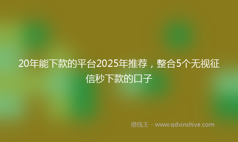 20年能下款的平台2025年推荐，整合5个无视征信秒下款的口子