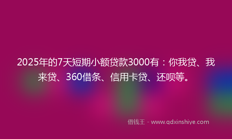 2025年的7天短期小额贷款3000有：你我贷、我来贷、360借条、信用卡贷、还呗等。