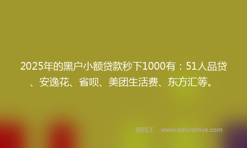 2025年的黑户小额贷款秒下1000有：51人品贷、安逸花、省呗、美团生活费、东方汇等。