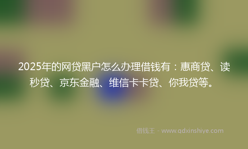 2025年的网贷黑户怎么办理借钱有：惠商贷、读秒贷、京东金融、维信卡卡贷、你我贷等。
