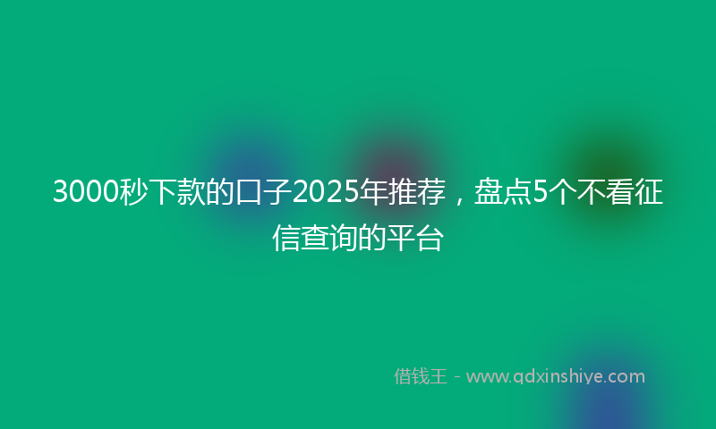 3000秒下款的口子2025年推荐，盘点5个不看征信查询的平台