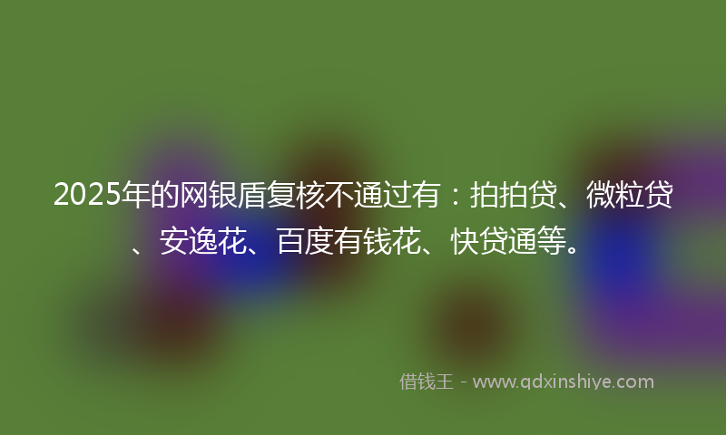 2025年的网银盾复核不通过有：拍拍贷、微粒贷、安逸花、百度有钱花、快贷通等。