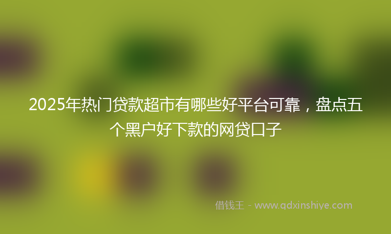2025年热门贷款超市有哪些好平台可靠，盘点五个黑户好下款的网贷口子