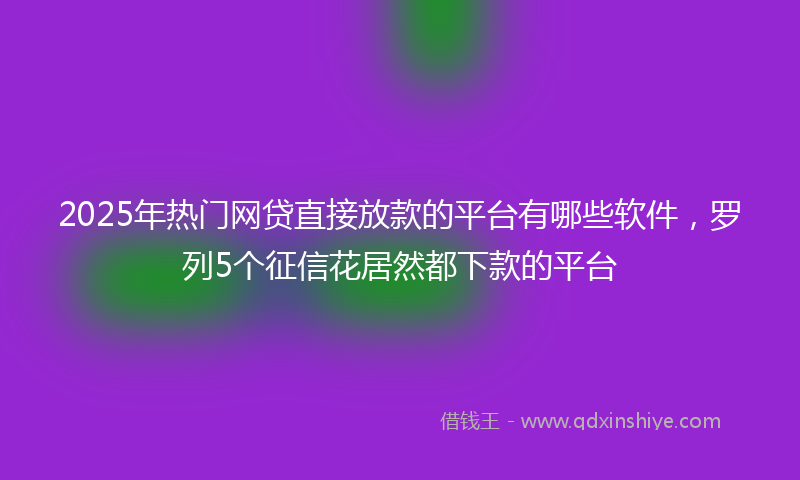 2025年热门网贷直接放款的平台有哪些软件，罗列5个征信花居然都下款的平台