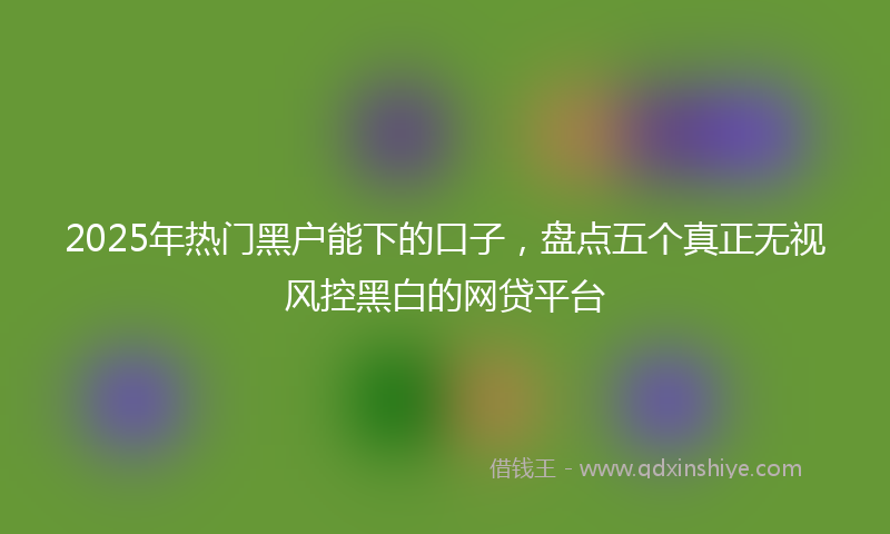 2025年热门黑户能下的口子，盘点五个真正无视风控黑白的网贷平台