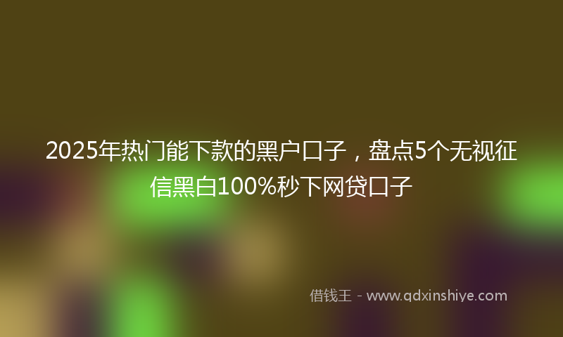 2025年热门能下款的黑户口子，盘点5个无视征信黑白100%秒下网贷口子
