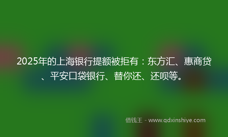 2025年的上海银行提额被拒有：东方汇、惠商贷、平安口袋银行、替你还、还呗等。