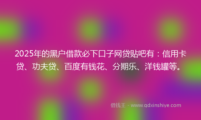 2025年的黑户借款必下口子网贷贴吧有：信用卡贷、功夫贷、百度有钱花、分期乐、洋钱罐等。