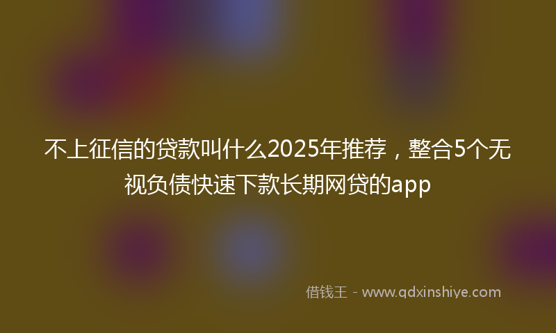 不上征信的贷款叫什么2025年推荐，整合5个无视负债快速下款长期网贷的app