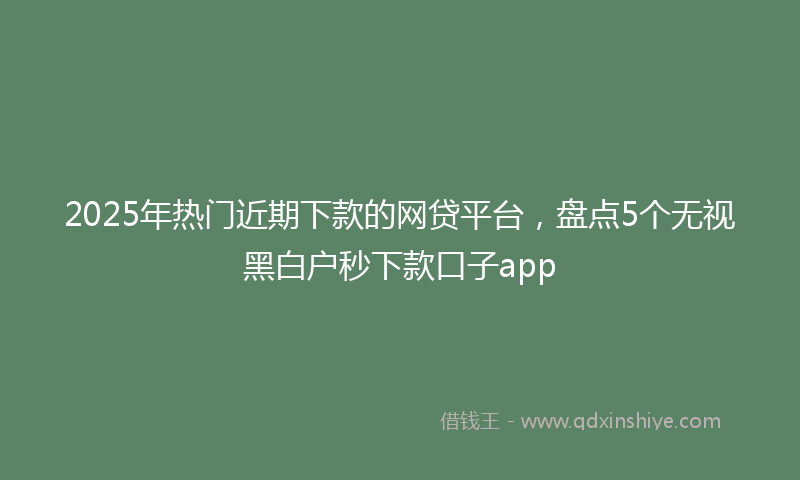 2025年热门近期下款的网贷平台，盘点5个无视黑白户秒下款口子app