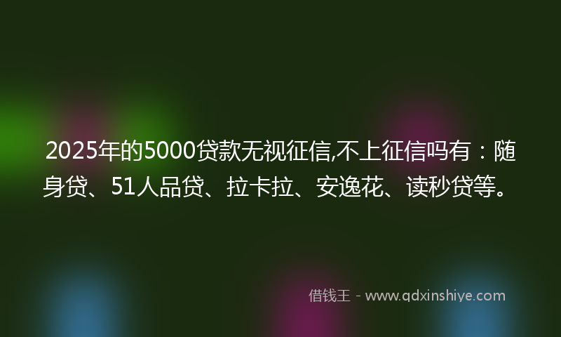 2025年的5000贷款无视征信,不上征信吗有：随身贷、51人品贷、拉卡拉、安逸花、读秒贷等。