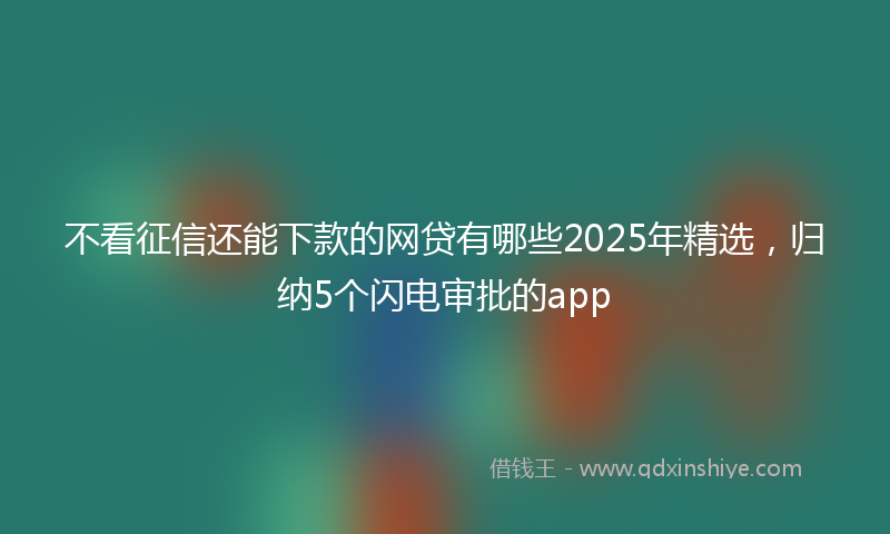 不看征信还能下款的网贷有哪些2025年精选，归纳5个闪电审批的app
