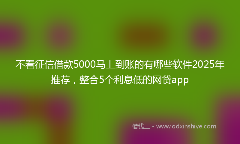 不看征信借款5000马上到账的有哪些软件2025年推荐，整合5个利息低的网贷app