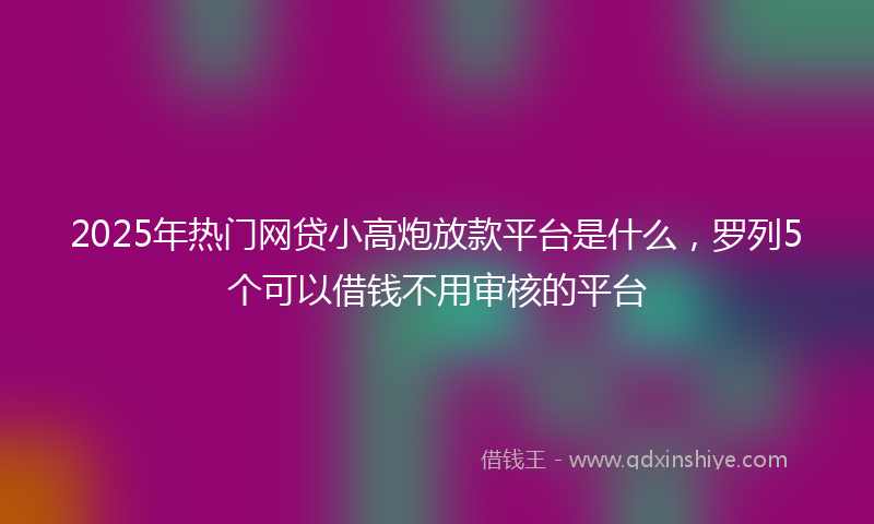 2025年热门网贷小高炮放款平台是什么，罗列5个可以借钱不用审核的平台
