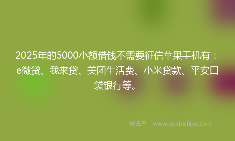 2025年的5000小额借钱不需要征信苹果手机有：e微贷、我来贷、美团生活费、小米贷款、平安口袋银行等。