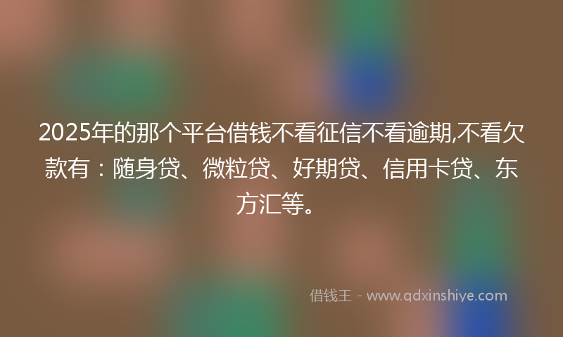 2025年的那个平台借钱不看征信不看逾期,不看欠款有：随身贷、微粒贷、好期贷、信用卡贷、东方汇等。