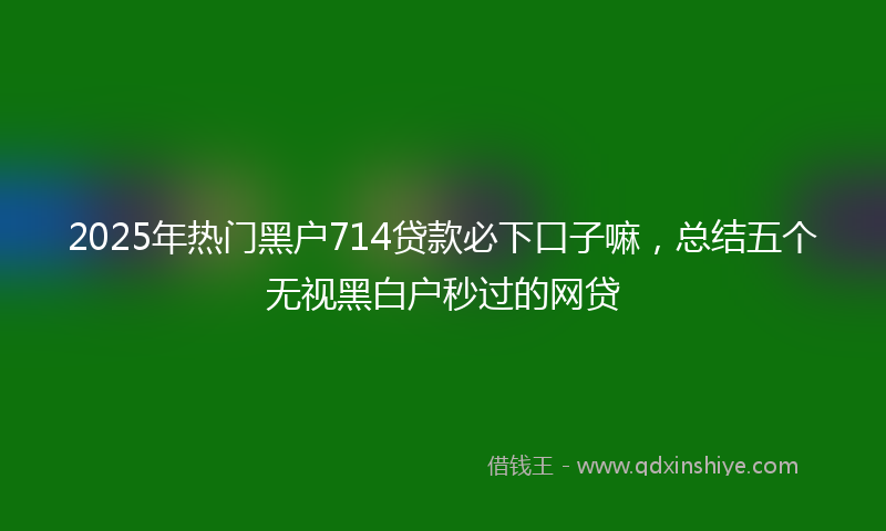 2025年热门黑户714贷款必下口子嘛，总结五个无视黑白户秒过的网贷