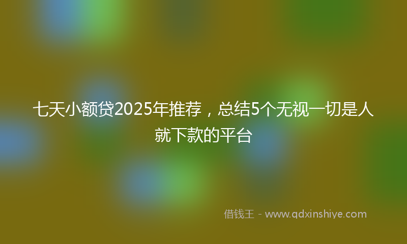 七天小额贷2025年推荐，总结5个无视一切是人就下款的平台