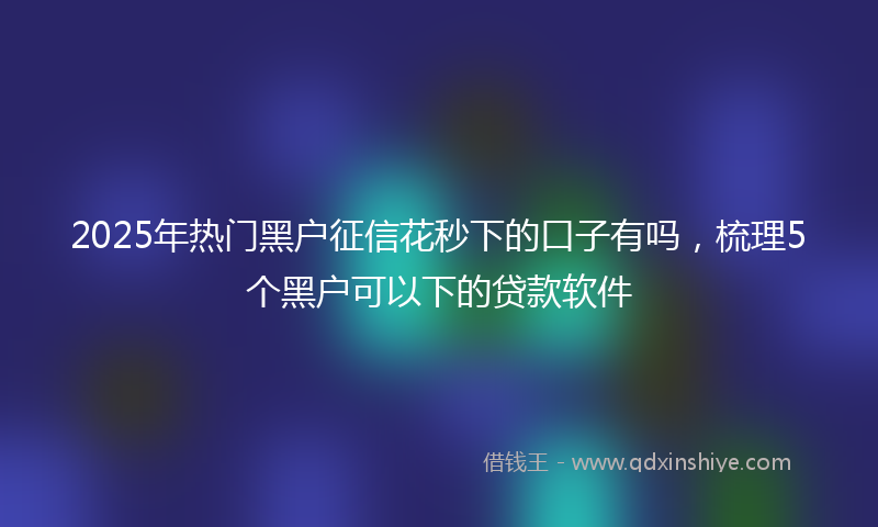 2025年热门黑户征信花秒下的口子有吗,梳理5个黑户可以下的贷款软件