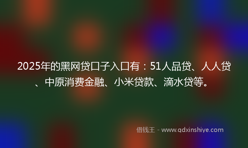 2025年的黑网贷口子入口有：51人品贷、人人贷、中原消费金融、小米贷款、滴水贷等。