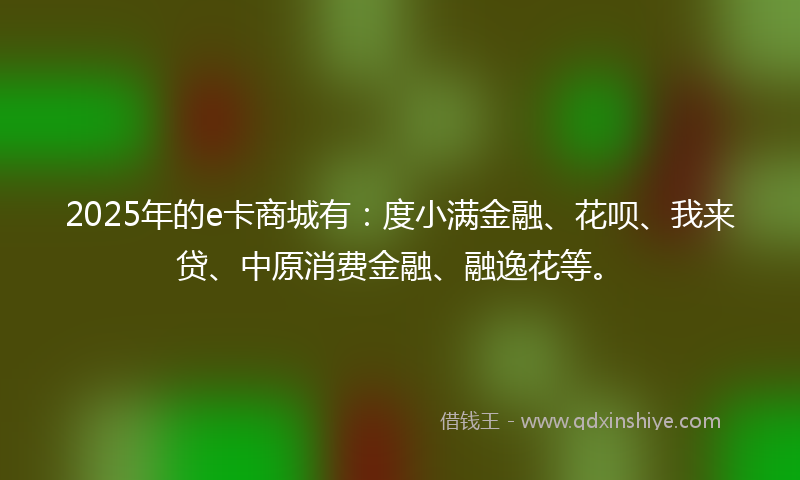 2025年的e卡商城有：度小满金融、花呗、我来贷、中原消费金融、融逸花等。