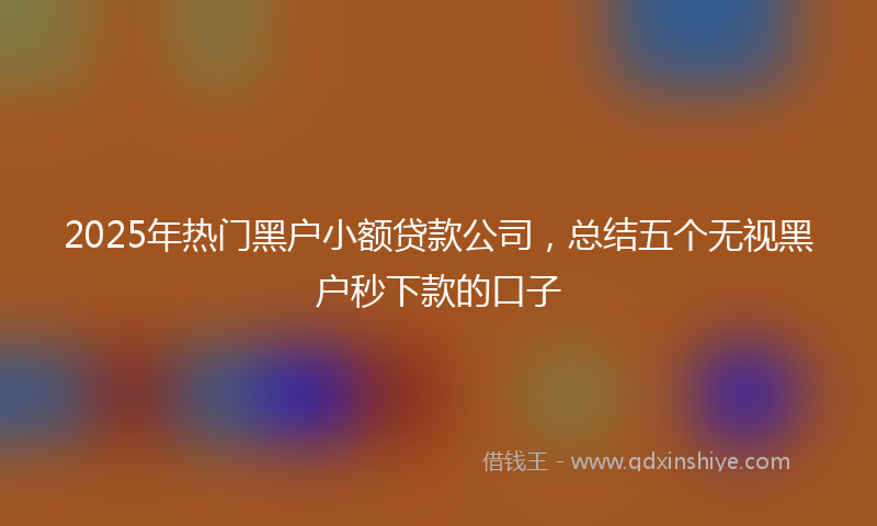 2025年热门黑户小额贷款公司，总结五个无视黑户秒下款的口子