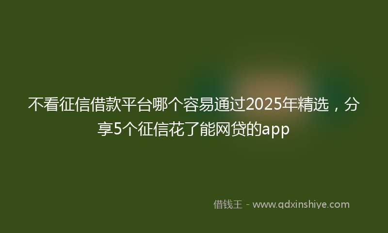 不看征信借款平台哪个容易通过2025年精选，分享5个征信花了能网贷的app