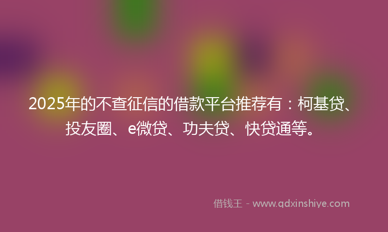 2025年的不查征信的借款平台推荐有：柯基贷、投友圈、e微贷、功夫贷、快贷通等。