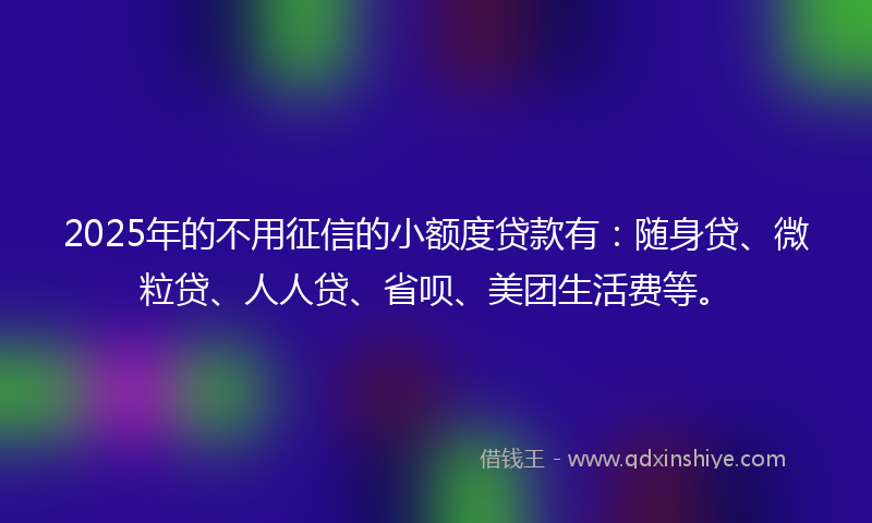 2025年的不用征信的小额度贷款有：随身贷、微粒贷、人人贷、省呗、美团生活费等。