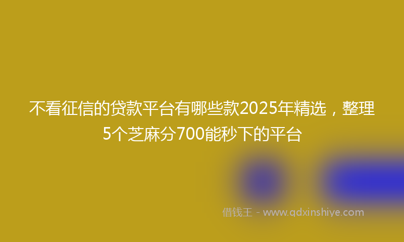 不看征信的贷款平台有哪些款2025年精选，整理5个芝麻分700能秒下的平台