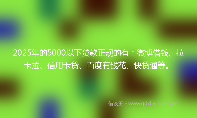 2025年的5000以下贷款正规的有：微博借钱、拉卡拉、信用卡贷、百度有钱花、快贷通等。