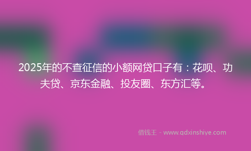 2025年的不查征信的小额网贷口子有：花呗、功夫贷、京东金融、投友圈、东方汇等。