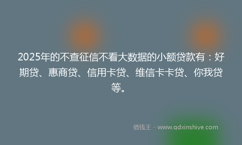 2025年的不查征信不看大数据的小额贷款有：好期贷、惠商贷、信用卡贷、维信卡卡贷、你我贷等。