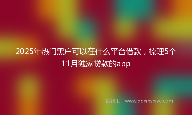 2025年热门黑户可以在什么平台借款，梳理5个11月独家贷款的app