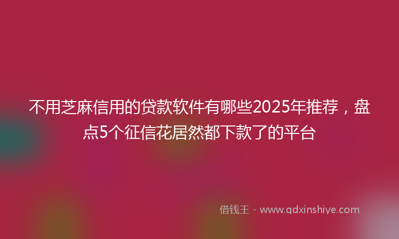 不用芝麻信用的贷款软件有哪些2025年推荐，盘点5个征信花居然都下款了的平台