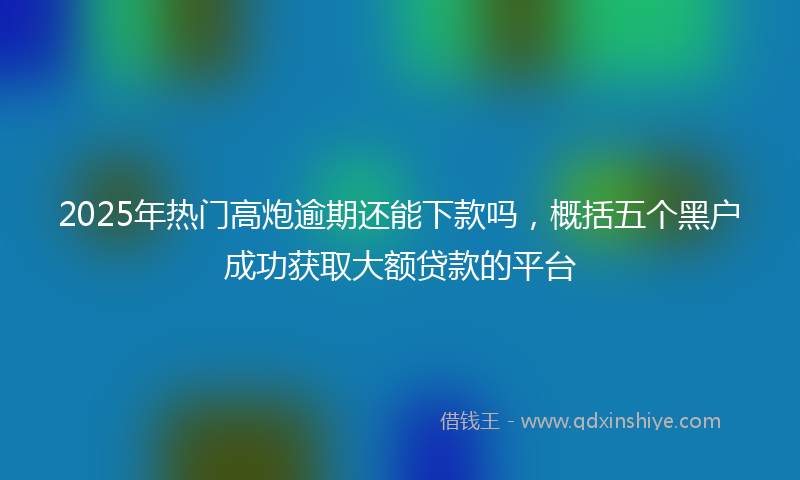 2025年热门高炮逾期还能下款吗,概括五个黑户成功获取大额贷款的平台