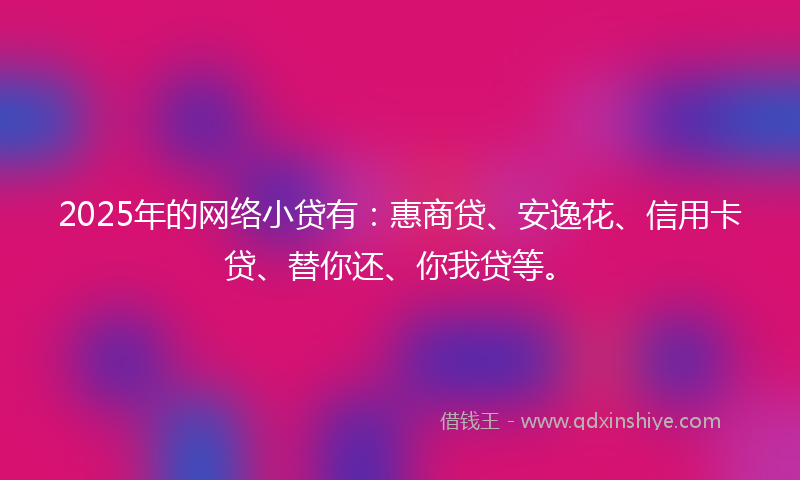 2025年的网络小贷有：惠商贷、安逸花、信用卡贷、替你还、你我贷等。