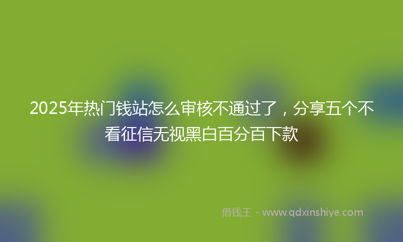 2025年热门钱站怎么审核不通过了，分享五个不看征信无视黑白百分百下款