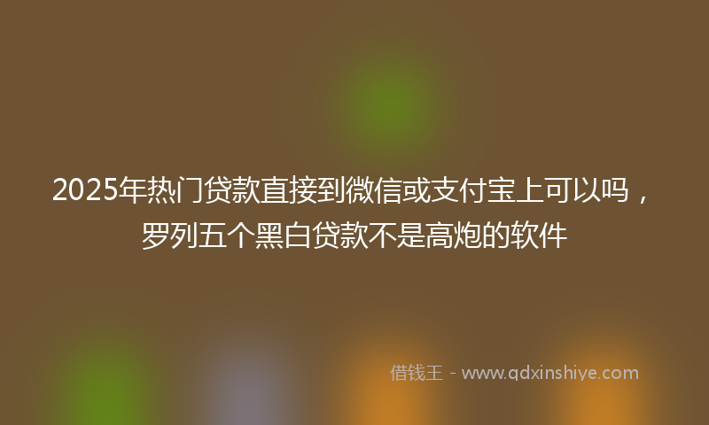 2025年热门贷款直接到微信或支付宝上可以吗，罗列五个黑白贷款不是高炮的软件
