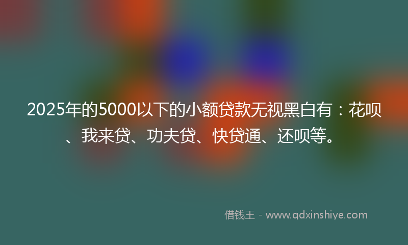 2025年的5000以下的小额贷款无视黑白有：花呗、我来贷、功夫贷、快贷通、还呗等。