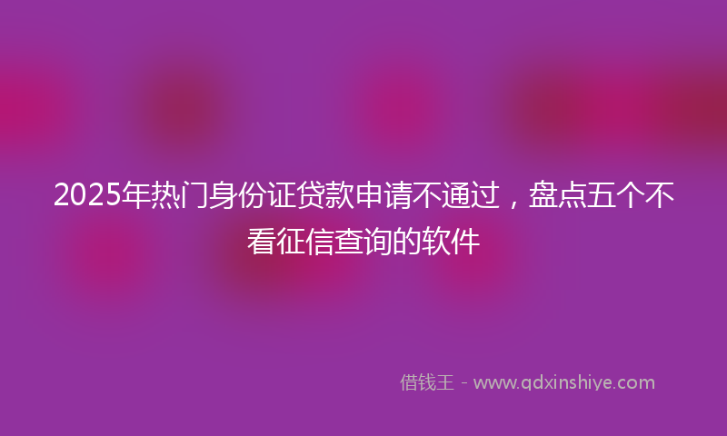2025年热门身份证贷款申请不通过，盘点五个不看征信查询的软件