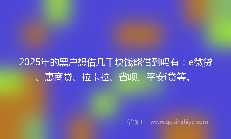 2025年的黑户想借几千块钱能借到吗有：e微贷、惠商贷、拉卡拉、省呗、平安i贷等。