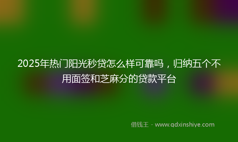 2025年热门阳光秒贷怎么样可靠吗,归纳五个不用面签和芝麻分的贷款平台