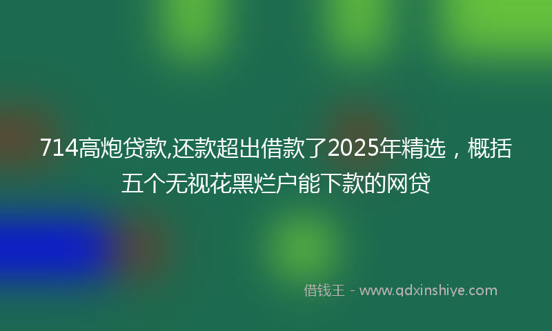 714高炮贷款,还款超出借款了2025年精选，概括五个无视花黑烂户能下款的网贷