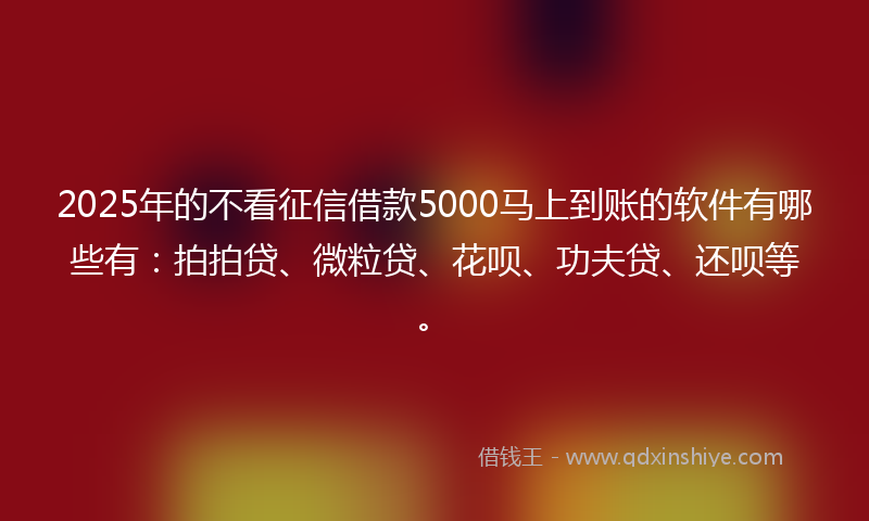 2025年的不看征信借款5000马上到账的软件有哪些有：拍拍贷、微粒贷、花呗、功夫贷、还呗等。