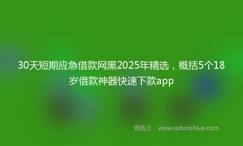 30天短期应急借款网黑2025年精选，概括5个18岁借款神器快速下款app