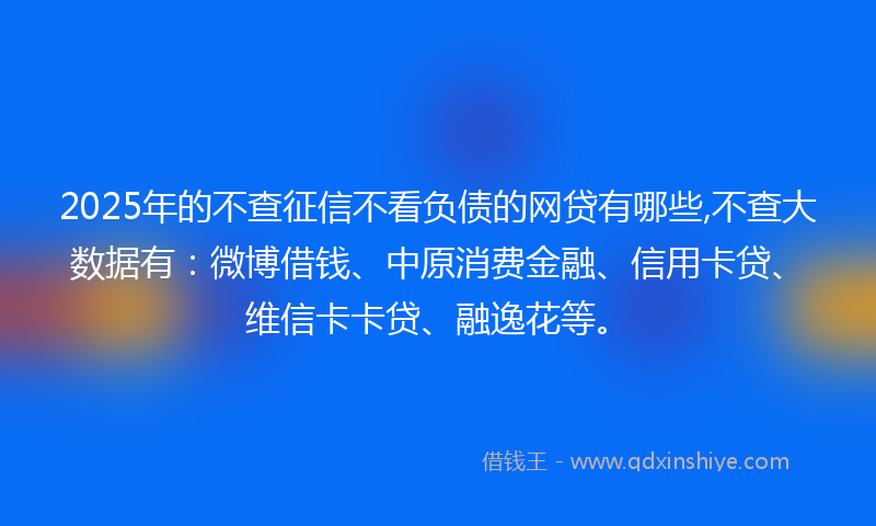 2025年的不查征信不看负债的网贷有哪些,不查大数据有：微博借钱、中原消费金融、信用卡贷、维信卡卡贷、融逸花等。