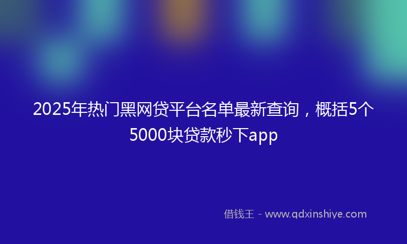 2025年热门黑网贷平台名单最新查询,概括5个5000块贷款秒下app