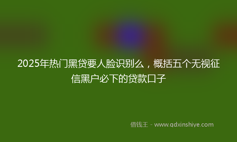 2025年热门黑贷要人脸识别么,概括五个无视征信黑户必下的贷款口子